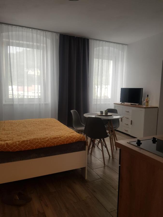 Apartman Ursula Jáchymov Dış mekan fotoğraf