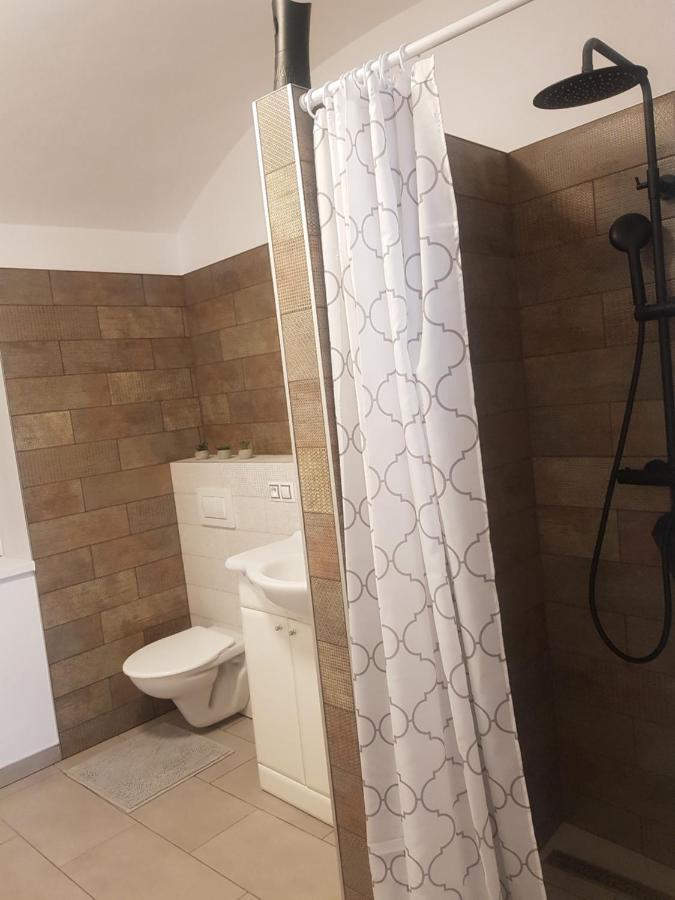Apartman Ursula Jáchymov Dış mekan fotoğraf